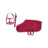 Starterset Cuddle Pony, rot, HKM 14382