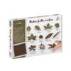 Crealign Stempelset "Herbarium, Baumblätter" CL114